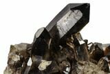 Dark Smoky Quartz Crystal Cluster - Brazil #119555-1